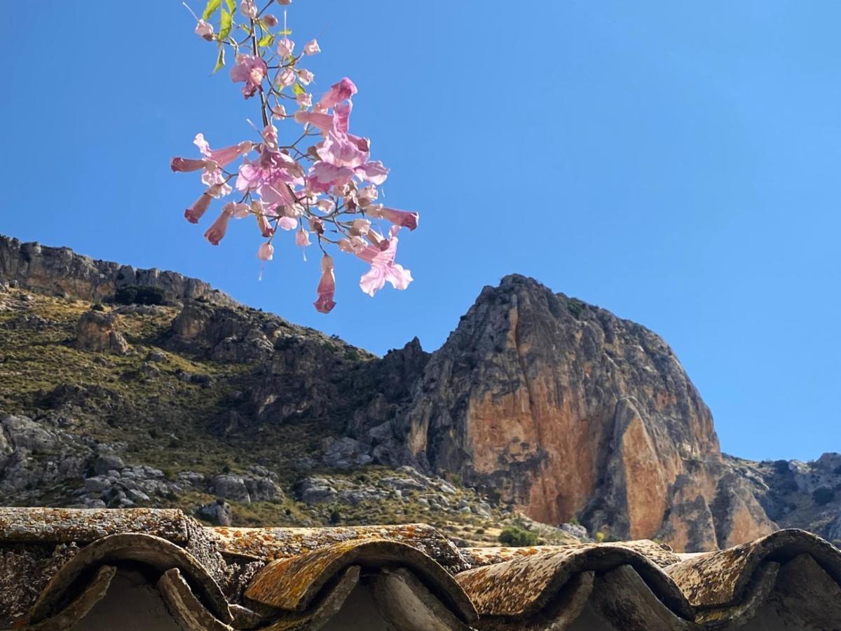 Cortijo El Chorreadero En Parque Natural Sierra De Cazorla Los Rosales  Esterno foto