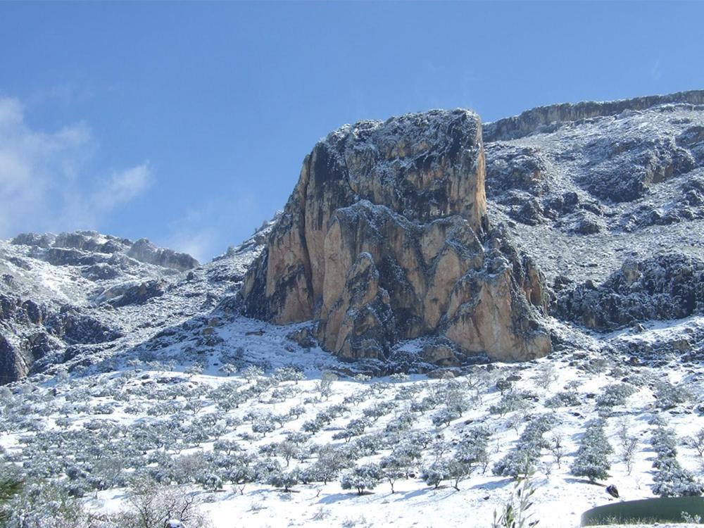Cortijo El Chorreadero En Parque Natural Sierra De Cazorla Los Rosales  Esterno foto